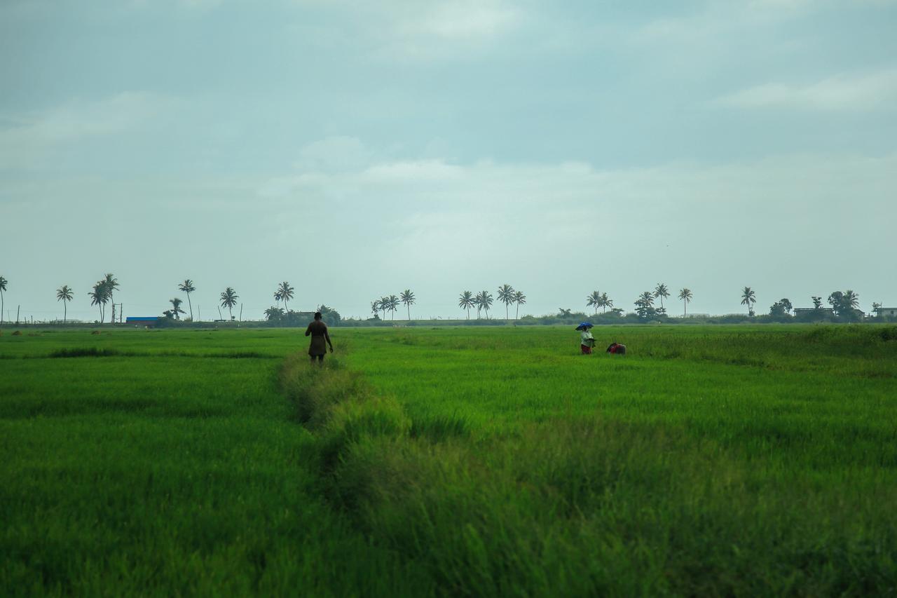 Palmgrove Lake Resort Alappuzha Εξωτερικό φωτογραφία