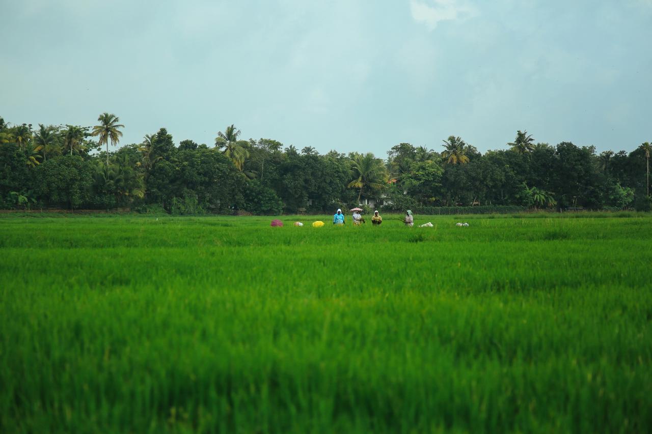 Palmgrove Lake Resort Alappuzha Εξωτερικό φωτογραφία