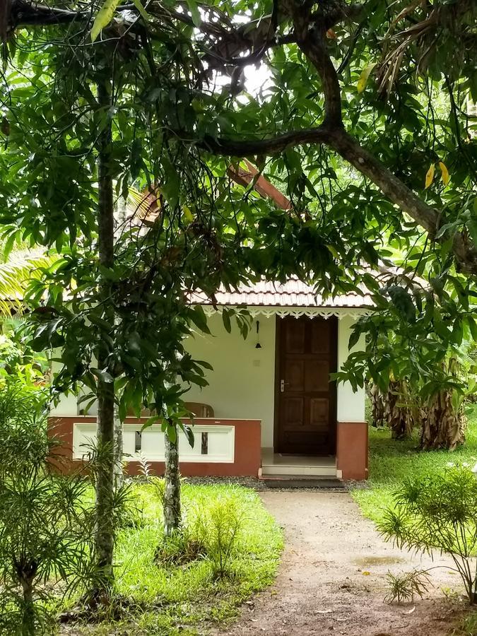 Palmgrove Lake Resort Alappuzha Εξωτερικό φωτογραφία